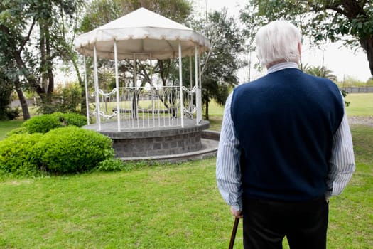 Rear view of a man standing with a cane in a garden