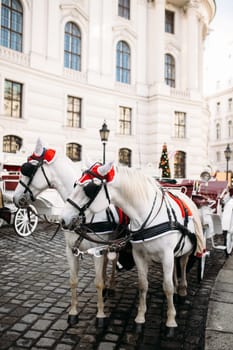 Horse carriage near the castle in Vienna. High quality photo
