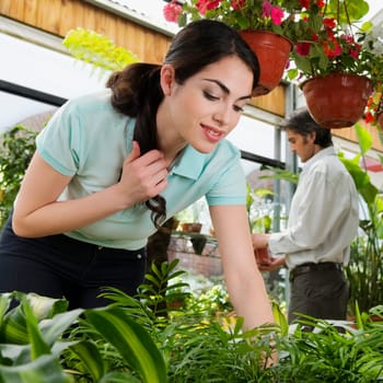 Customers choosing plants in a greenhouse