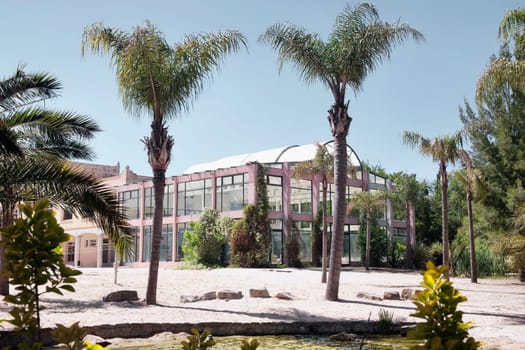 Palm trees at a tourist resort