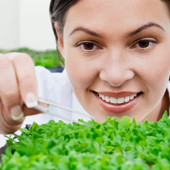Female scientist researching on plants in a laboratory