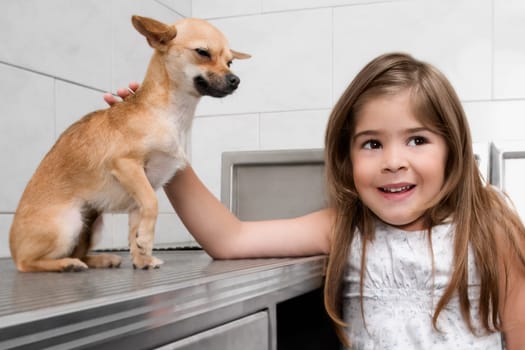 Girl with a dog in a veterinary hospital