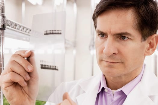 Scientist examining a report in a laboratory