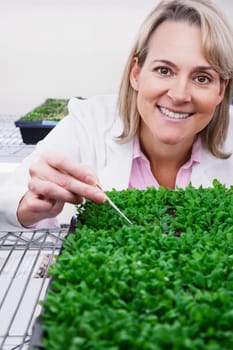 Female scientist researching on plants in a laboratory