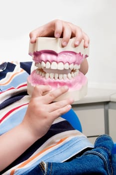 Close_up of a boy holding a set of dentures