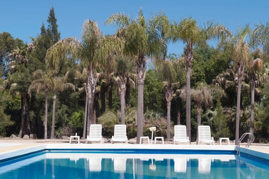 Lounge chairs at the poolside