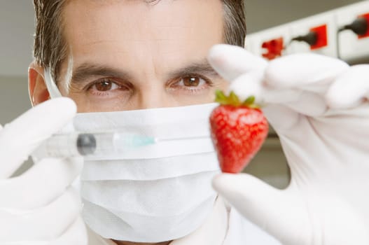 Lab technician injecting into a strawberry