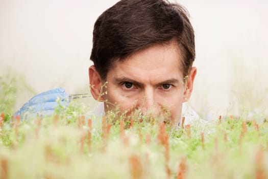 Scientist researching on plants in a laboratory