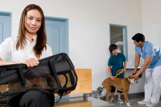 Pets with their owners in a veterinary hospital