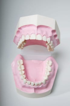 Close_up of a set of dentures