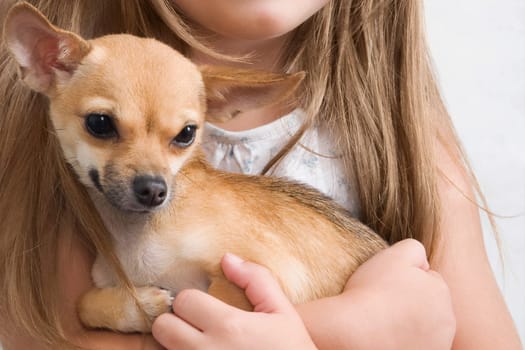 Girl carrying a dog in a veterinary hospital