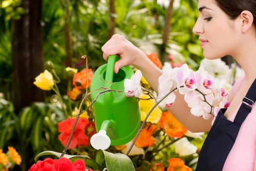 Woman watering plants in a greenhouse