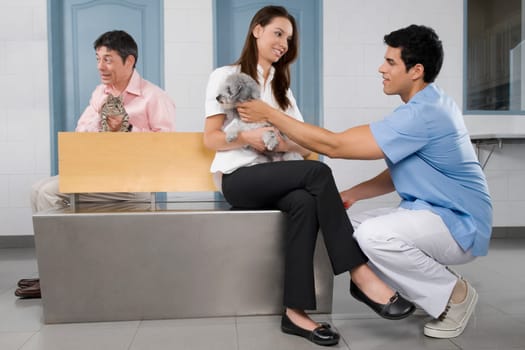 Pets with their owners in a veterinary hospital