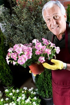 Man holding a potted plant in a greenhouse
