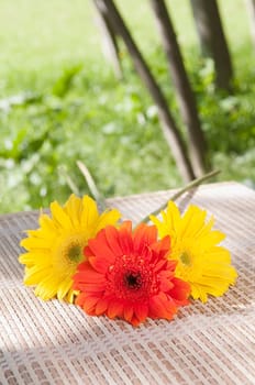 Close_up of Daisy flowers on a bamboo mat