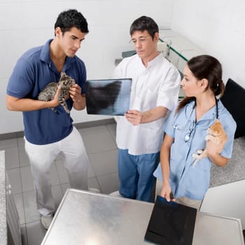 Vet examining a catŽs x_ray
