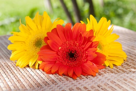 Close_up of Daisy flowers on a bamboo mat