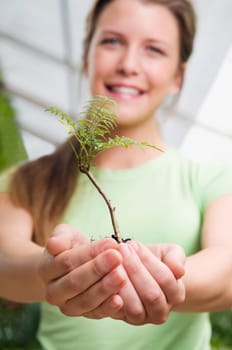 Woman holding a sapling in a greenhouse