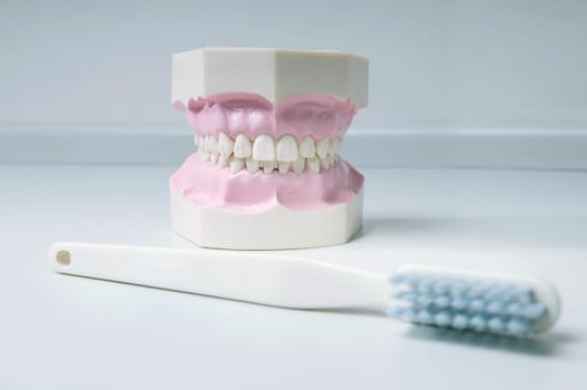Close_up of a set of dentures with a toothbrush