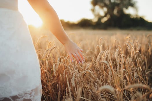 Girl in wheat field, girl's hand and wheat spikelet, sunset on field. High quality photo