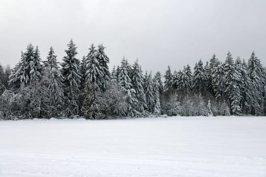winter weather