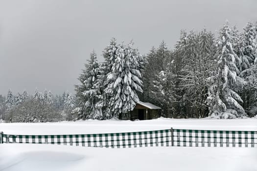 winter weather