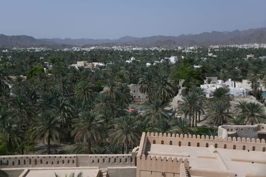 The oasis city of Nizwa is located at the foot of the Hajar Mountains and in the heart of Oman on the Arabian Peninsula. A panoramic view of the city's palm grove.