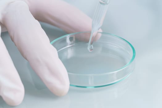Technician scientist analyzing a blood sample on tray in laboratory for testing it on COVID, COVID-19, coronavirus virus analysis