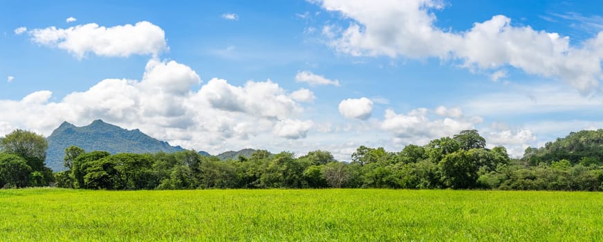 Panorama landscape view of green grass field agent blue sky in countryside of Thailand