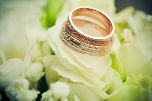 Wedding rings on a white rose flower. Wedding rings on a white rose flower.