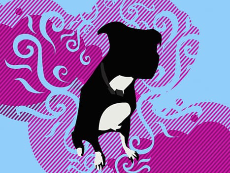 Bulldog sitting against a colored background