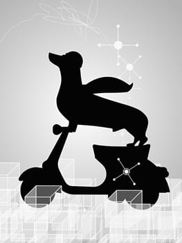 Side profile of a dog riding a scooter