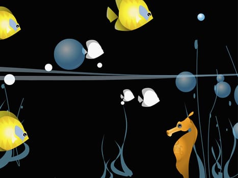 Fish with a sea horse underwater