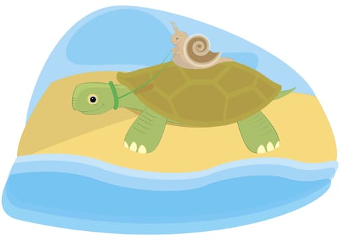 Snail riding on the back of a tortoise