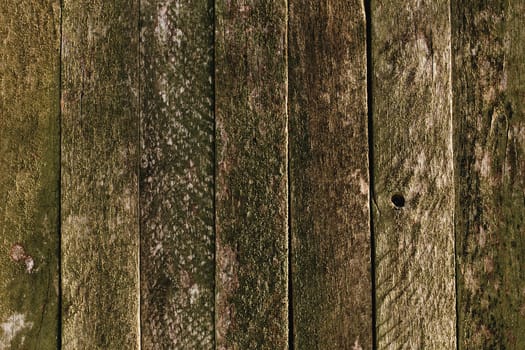 Old wooden fence background. Old boards texture. High quality photo