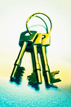 Close_up of a key ring