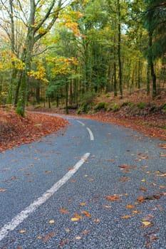 Autumn shot of the portuguese national park of geres