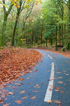 Autumn shot of the portuguese national park of geres