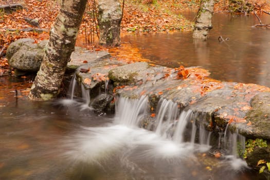 Autumn shot of the portuguese national park of geres