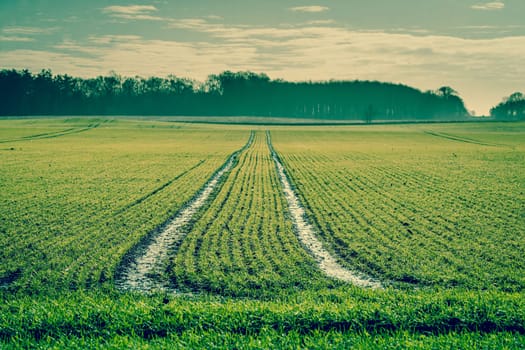 Countryside landscape with field tracks
