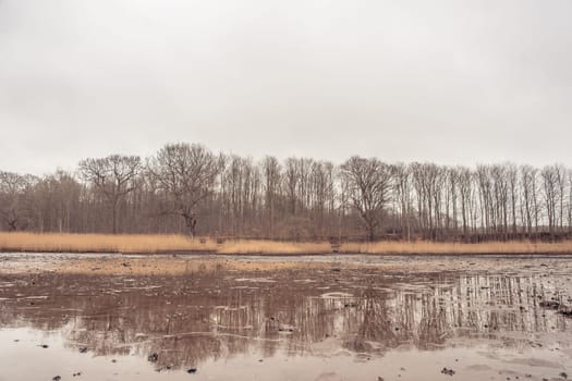 Idyllic lake scenery in the wintertime
