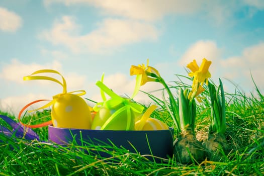 Easter egg basket in grass with daffodils