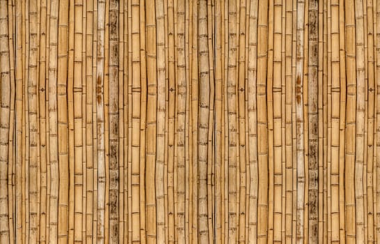 Bamboo fence background with vertical alignment