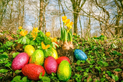 Easter eggs on the forest floor