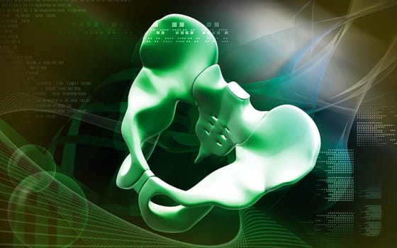 Digital illustration of pelvic girdle in colour background