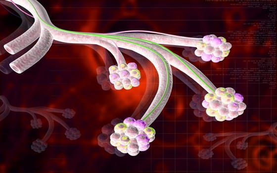 Digital illustration of alveoli in colour background