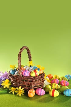 Colorful Easter eggs and daffodils in the Easter nest on the meadow