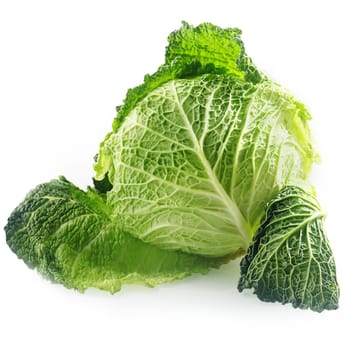 Close up Fresh Green savoy Cabbage Vegetable, with Textured Leaves, Isolated on White Background
