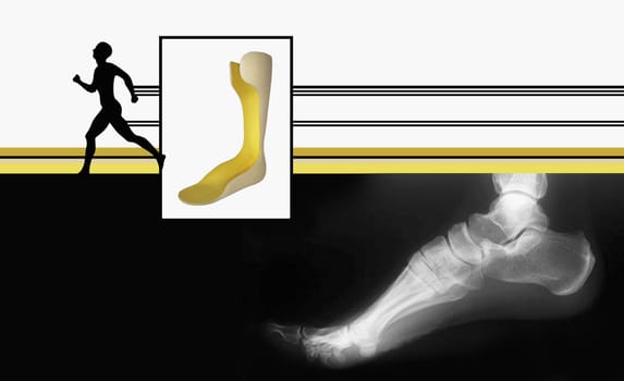 Human foot