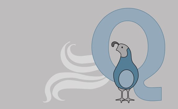 The letter Q with a Quail